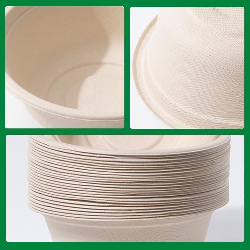 250PCS Food Preparation Burger Storages Cake Packaging Box Lunch Boxes Primary - Primary 350ml+PP lid