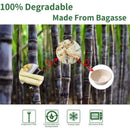 250PCS Food Preparation Burger Storages Cake Packaging Box Lunch Boxes Primary - Primary 350ml+PP lid