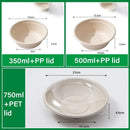 250PCS Food Preparation Burger Storages Cake Packaging Box Lunch Boxes Primary - Primary 350ml+PP lid