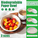 250PCS Food Preparation Burger Storages Cake Packaging Box Lunch Boxes Primary - Primary 350ml+PP lid