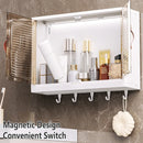 Bathroom Wall Mounted Storage Box Transparent Cabinet Rack Organizer Toiletries