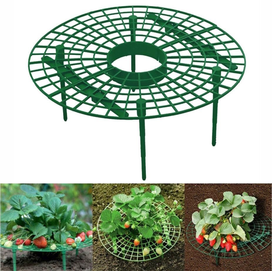 Strawberry Planting Shelf Garden Tools Vegetable Cultivation Rack Potted Stand