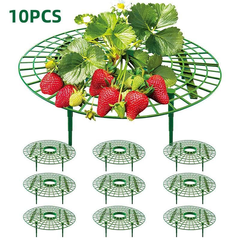 Strawberry Planting Shelf Garden Tools Vegetable Cultivation Rack Potted Stand