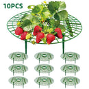 Strawberry Planting Shelf Garden Tools Vegetable Cultivation Rack Potted Stand