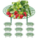 Strawberry Planting Shelf Garden Tools Vegetable Cultivation Rack Potted Stand