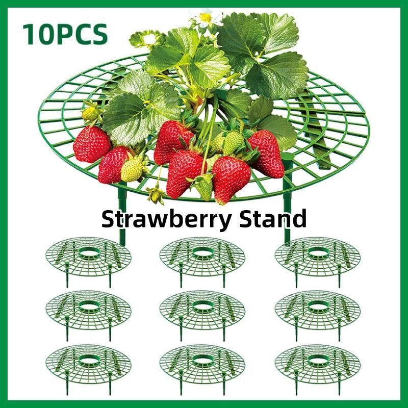 Strawberry Planting Shelf Garden Tools Vegetable Cultivation Rack Potted Stand