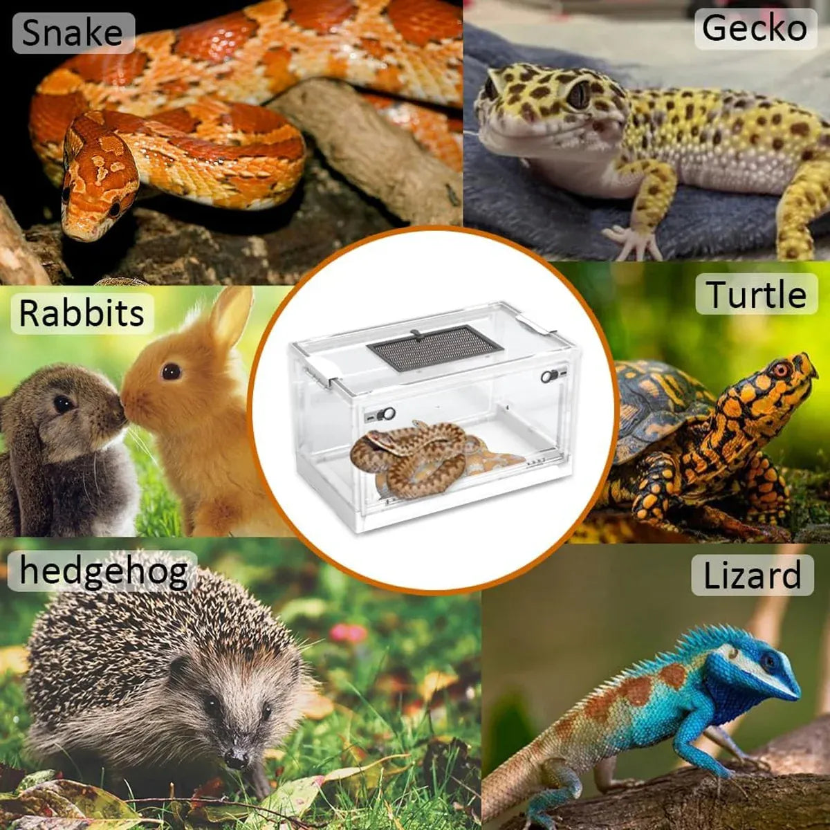 Foldable Hamster Breeding Box Transparent Small Pet Viewing House Indoor Habitat