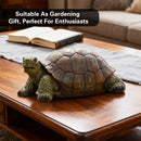 Simulation Turtle Ornaments Resin Craft for Home Office Tabletop Nautical Decor