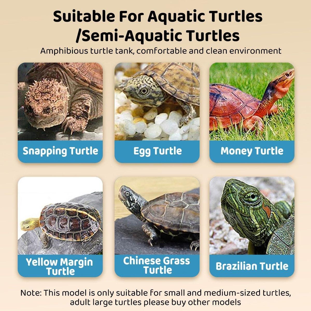 Tortoise Tank With Basking Table Brazilian Turtle Habitat For Living Room