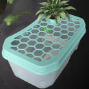 Open Turtle Tank Sun Basking Platform Plastic Reptile Habitat Aquarium Large - Pink