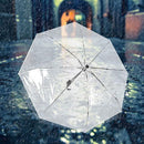 Transparent Folding Umbrella Compact Tri Fold Design Clear Rain Protection Cover - Manually operated-Pink