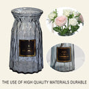 2 Pcs Glass Vase Hydroponic Flower Arrangement Vase for Living Room Decoration - Transparent