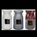 2 Pcs Glass Vase Hydroponic Flower Arrangement Vase for Living Room Decoration - Transparent