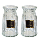 2 Pcs Glass Vase Hydroponic Flower Arrangement Vase for Living Room Decoration - Transparent