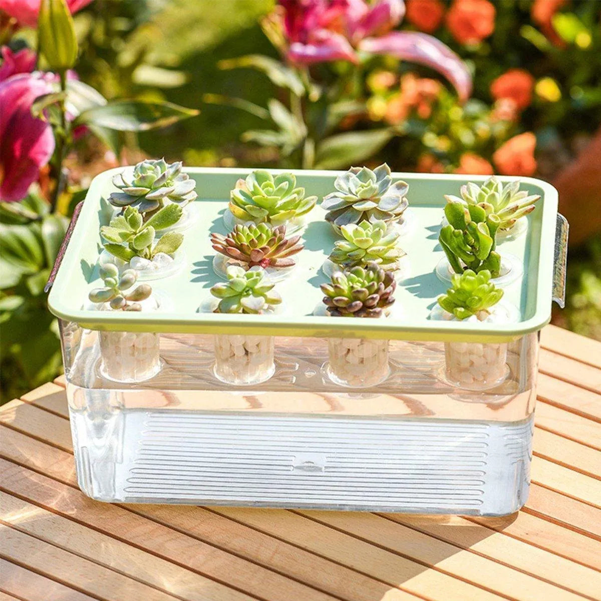Transparent Rectangular Aquarium 12Hole Lid Portable Hydroponic Plant Fish Tank - Green