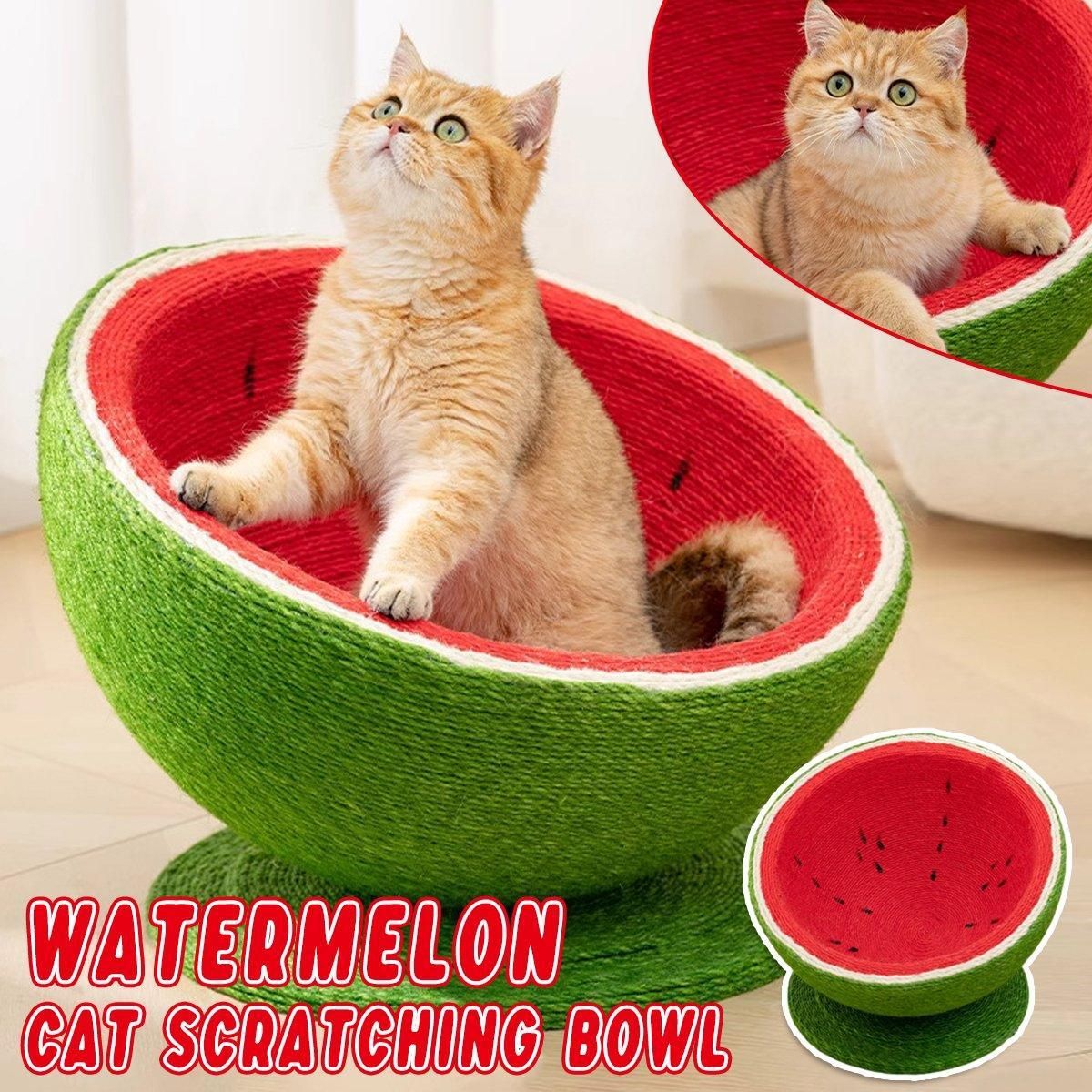 Watermelon Cat Scratching Pot Board All in One Scratcher Toy for Cats Kitten