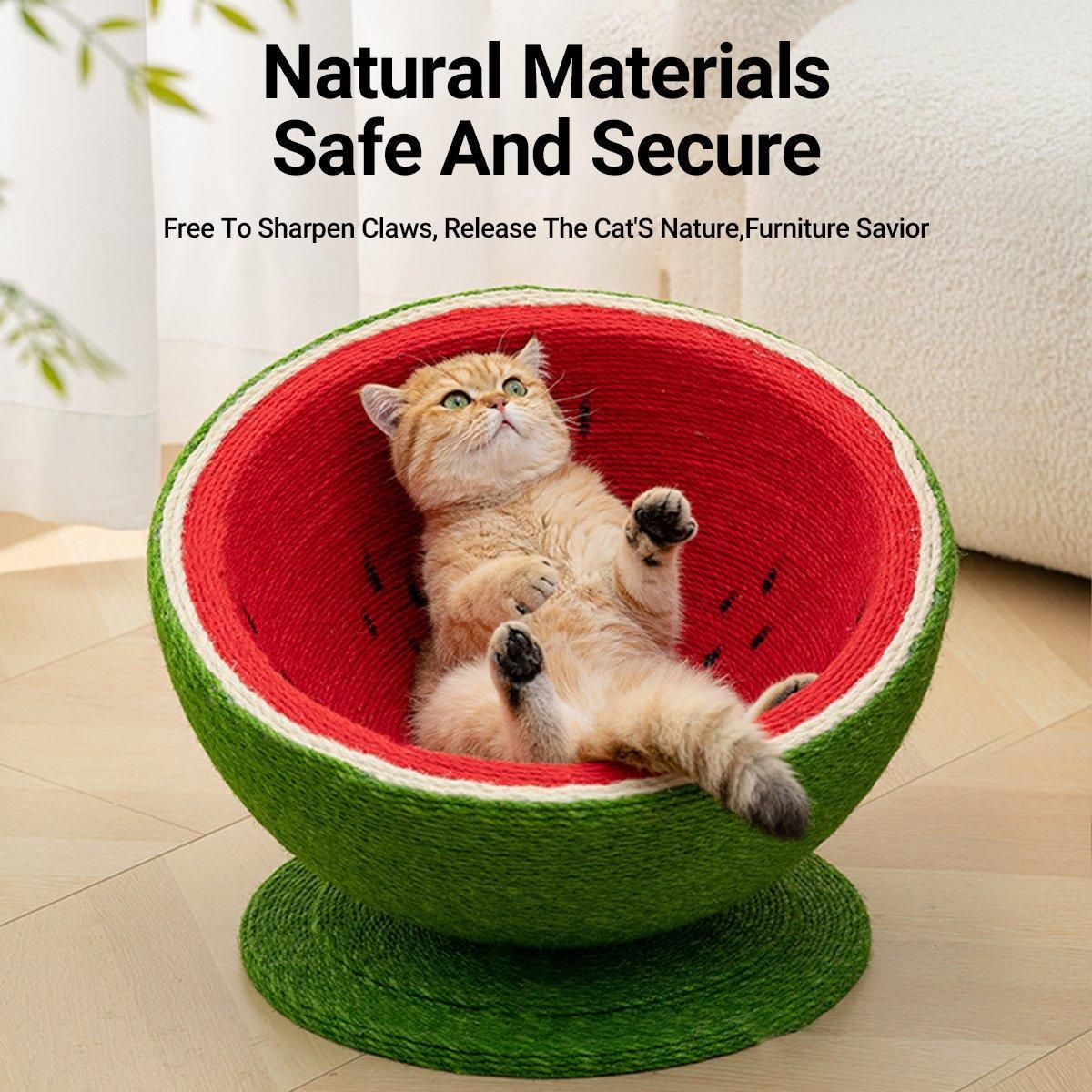 Watermelon Cat Scratching Pot Board All in One Scratcher Toy for Cats Kitten
