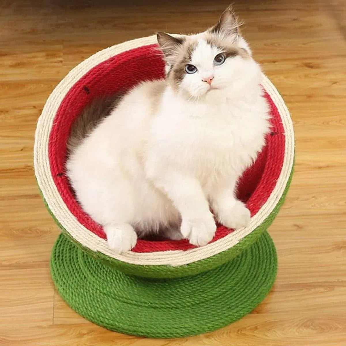 Watermelon Cat Scratching Pot Board All in One Scratcher Toy for Cats Kitten