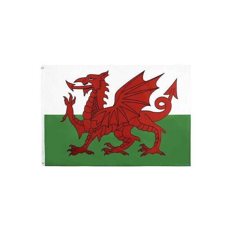 Large Wales Welsh Flag Heavy Duty Outdoor 90 X 150 CM - 3ft x 5ft