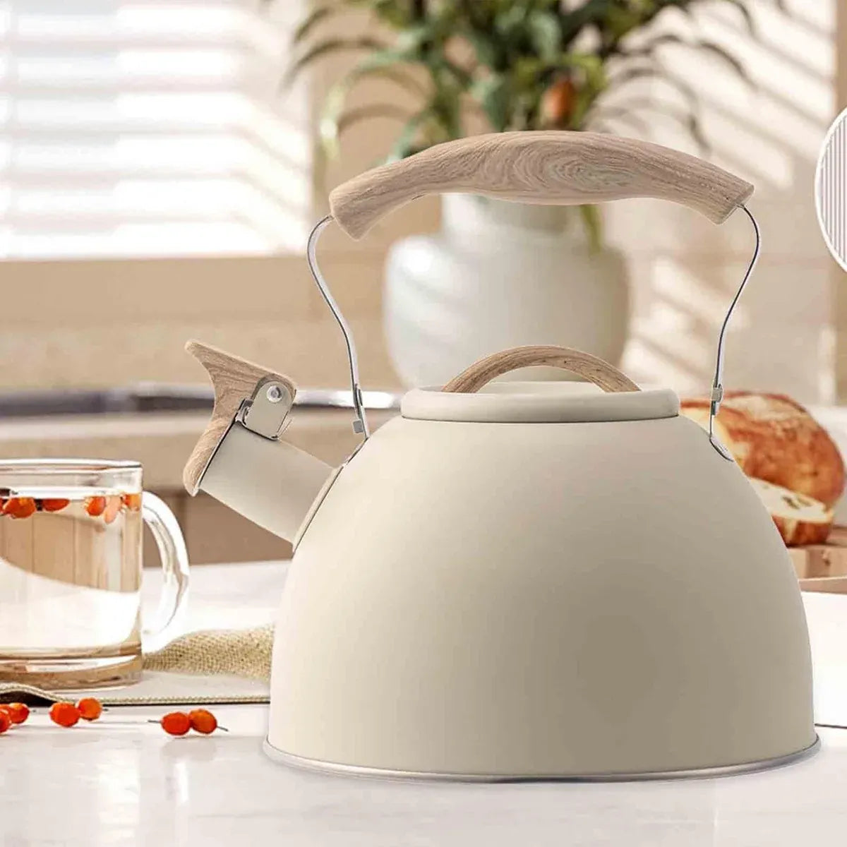 Off White Kettle Whistling Kettle Stainless Steel Stovetop Kitchen Cookware