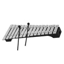 4-Piece 15-Note Glockenspiel Set with Mallets and Carry Bag