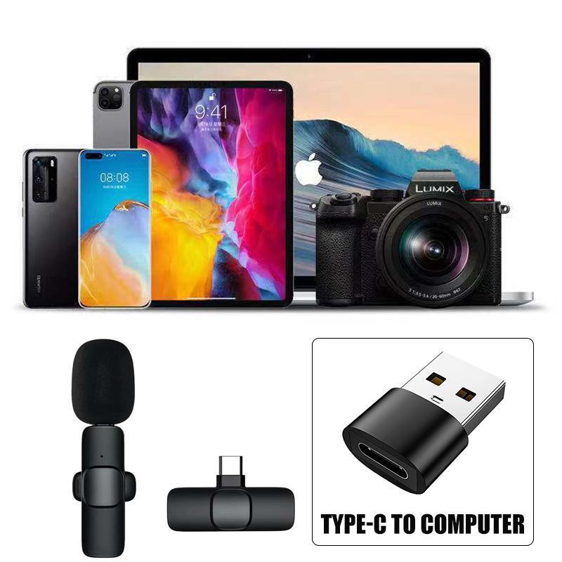 Wireless Lavalier Microphone Mini Mic For Android iPhone iPad Vlog Live Stream - Type-C (Two Microphones)