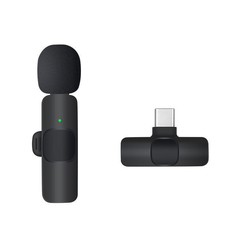 Wireless Lavalier Microphone Mini Mic For Android iPhone iPad Vlog Live Stream - Type-C (Two Microphones)