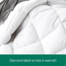 Woolcomfort Aus Made Merino Wool Quilt 500GSM 160x210cm King Single Size