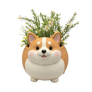 Bulk 2 Resin Corgi Planter 32x23x26cm