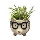 Bulk 2 Resin Hedgehog Planter 33x26x21cm