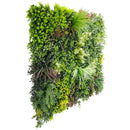 Luxury Evergreen Rainforest Recycled Vertical Garden / Green Wall UV Resistant Sample