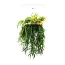 Gold Framed Roof Hanging Disc With Bright Tropical Foliage Mix and Draping Ferns 40cm UV Resistant