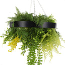 Black Framed Roof Hanging Disc with Draping Life-like Plants 40cm