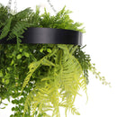 Black Framed Roof Hanging Disc with Draping Life-like Plants 40cm