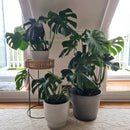 Imitation Stone Grey Pot 40cm