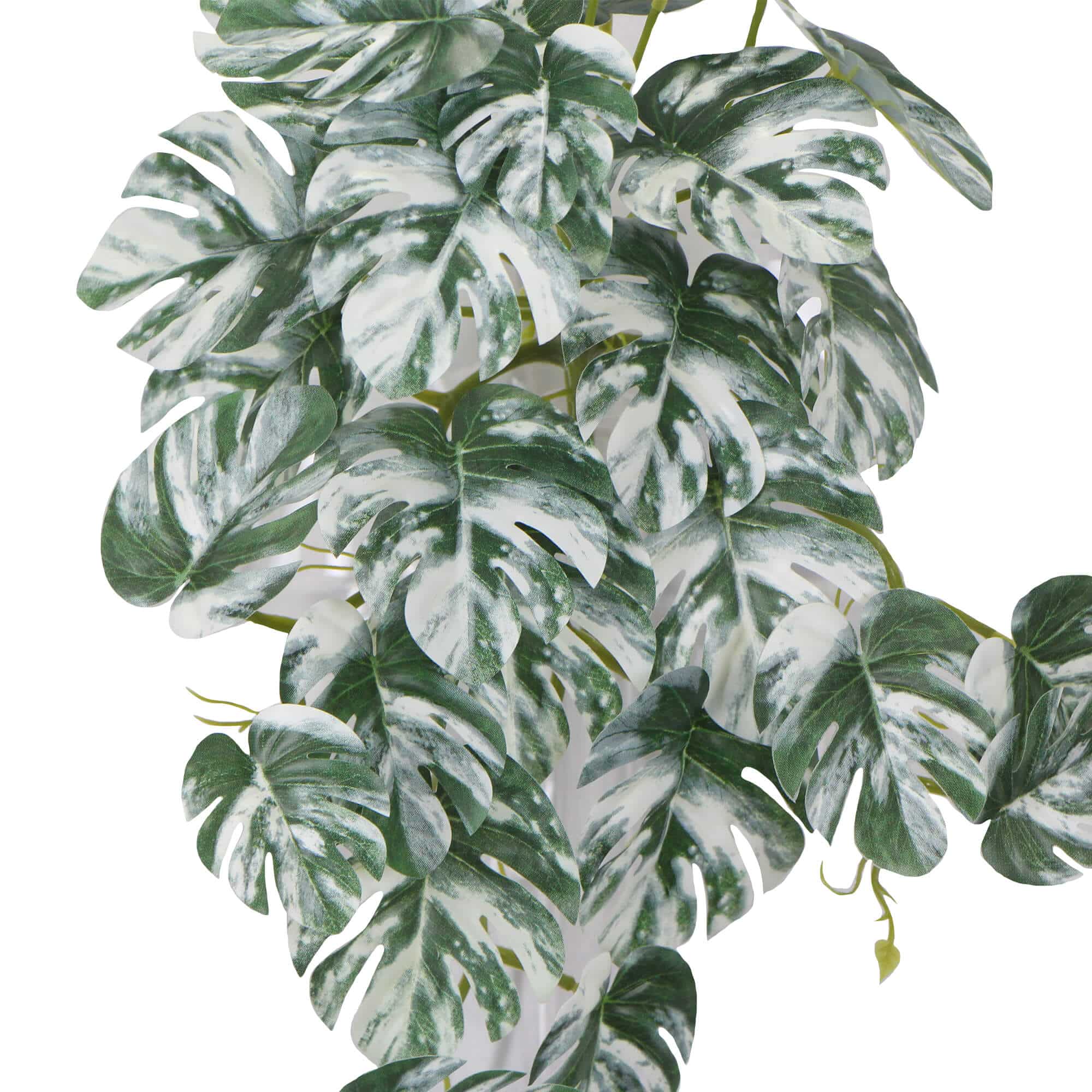 Artificial White & Green Monstera Albo Variegata 45cm