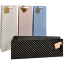 Bulk 24 Foil Stripe Gift Bag Bottle 36x12.3x8.5cm 4 Asst Cols
