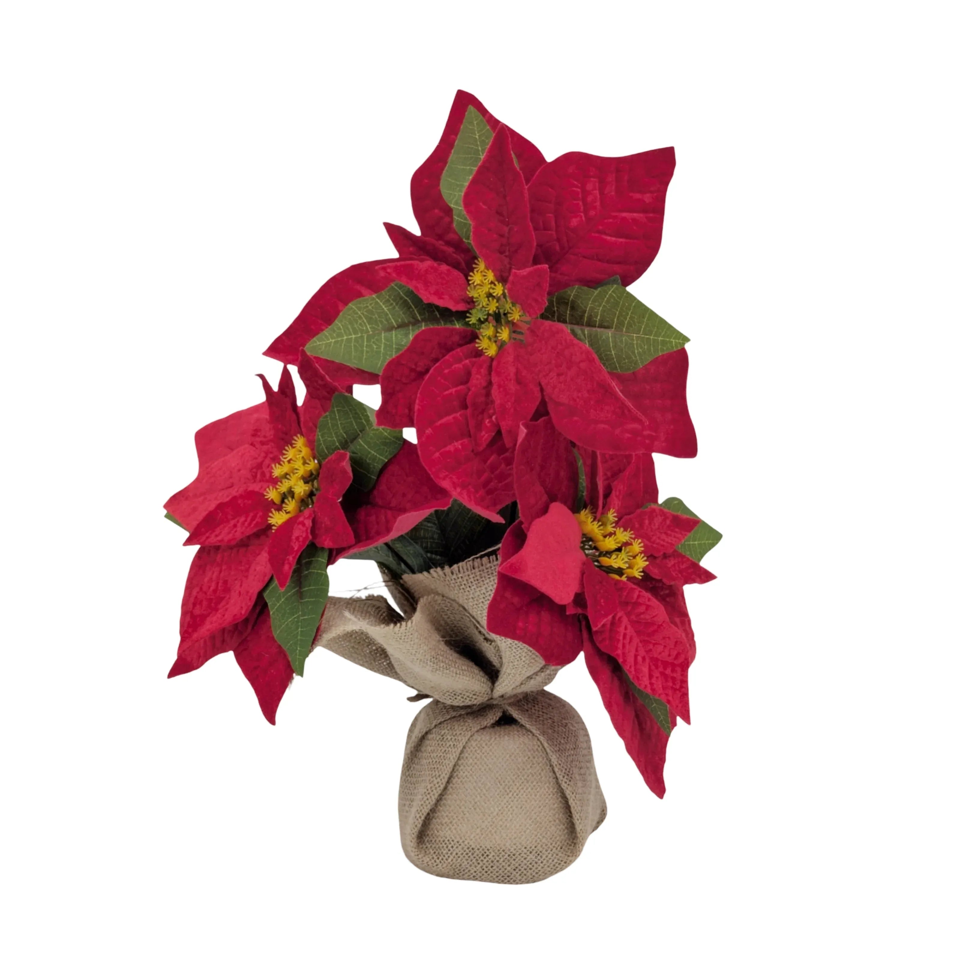 Xmas Poinsettia In Hessian Pot 32cm