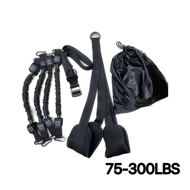 Pull-Up Assistance Bands Set 300LB Resistance Black