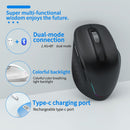 Ergonomic 2.4G Wireless & Bluetooth Dual Mode RGB Backlit Mouse with Type-C Charging - Silent Click for Laptop PC