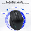Ergonomic 2.4G Wireless & Bluetooth Dual Mode RGB Backlit Mouse with Type-C Charging - Silent Click for Laptop PC