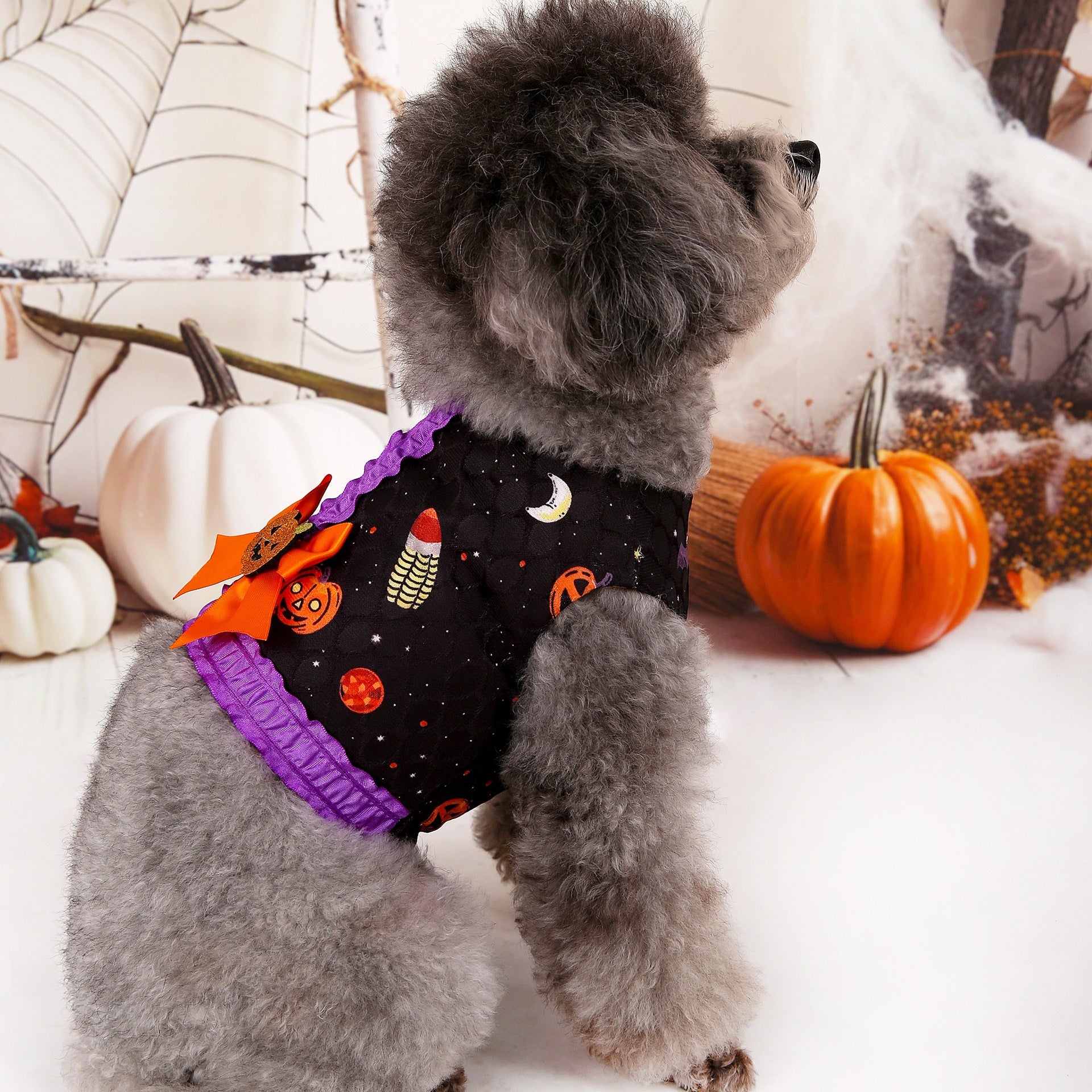 S Halloween Pumpkin Dog Harness Dress - Festive Costume Vest with Leash Ring for Small Dogs