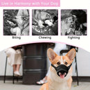 3 Pcs Size S Black Breathable Mesh Dog Muzzle - Soft & Comfortable Guard to Prevent Biting, Allows Panting and Drinking