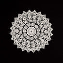 5.5 Inch Geometric Embroidered Lace Coaster (5 Pack) - Elegant Round Dining & Tea Table Mat Doily, Rose Style