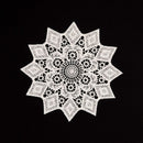 5.5 Inch Geometric Embroidered Lace Coaster (5 Pack) - Elegant Round Dining & Tea Table Mat Doily, Chestnut Leaf Style
