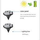 3 Pack Solar Powered Cat Paw Garden Lights with Warm LED - Waterproof Outdoor Lawn Lamp - Cute Animal Footprint Pathway Decor for Yard, Driveway, Patio - Auto On/Off, Easy Stake Installation