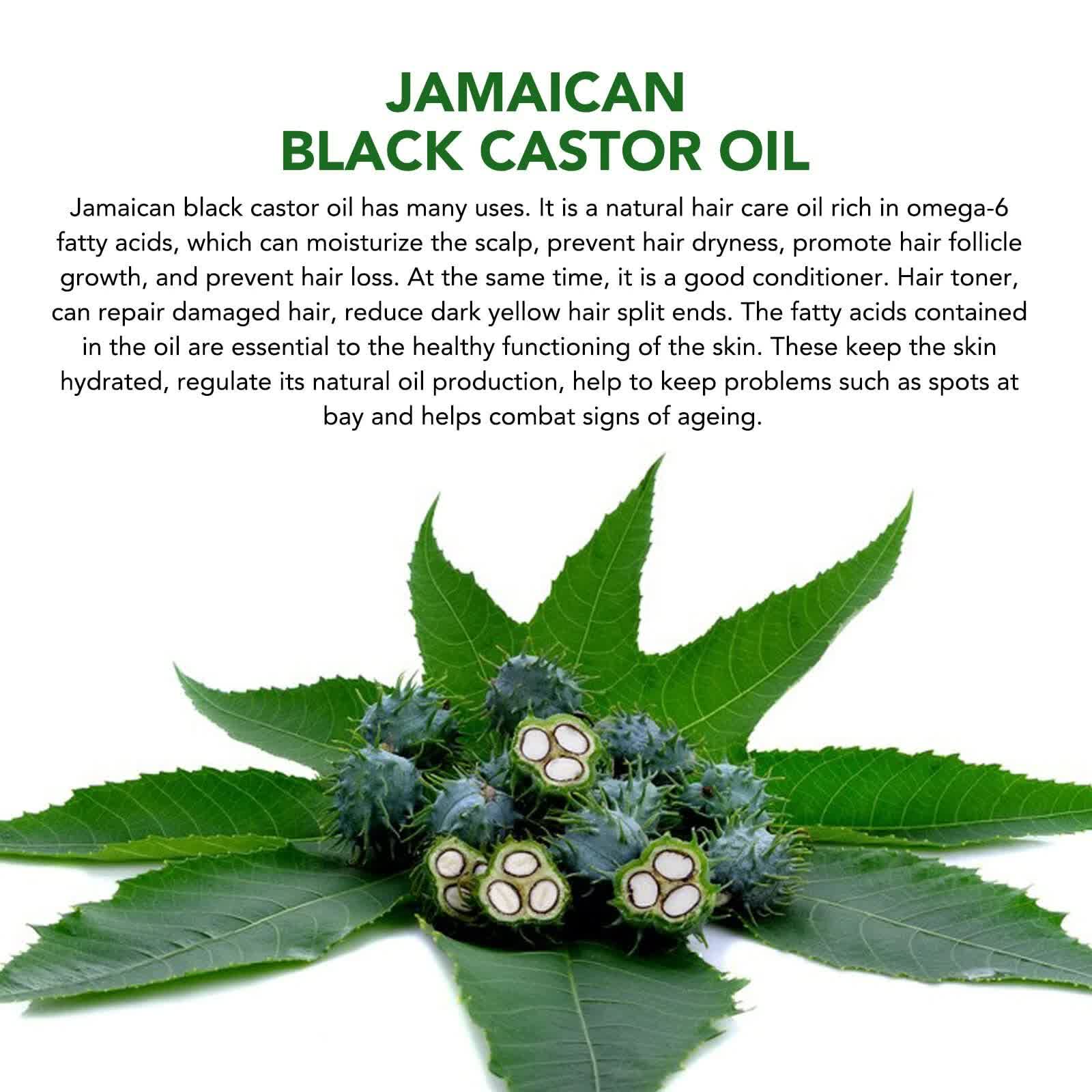 Black Castor Oil (2.02 fl oz), Jamaican Organic Regrowth Treatments