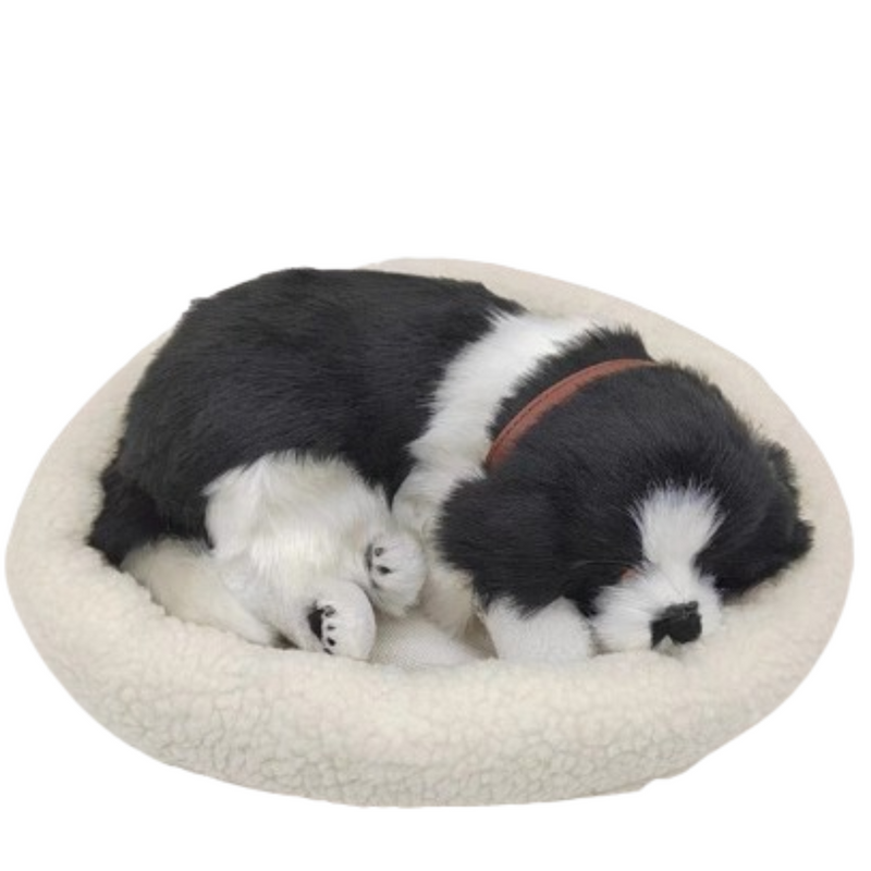 Sleepy Tails - Border Collie - Breathing