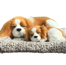 Sleepy Tails - Mother and Baby - King Charles Spaniel