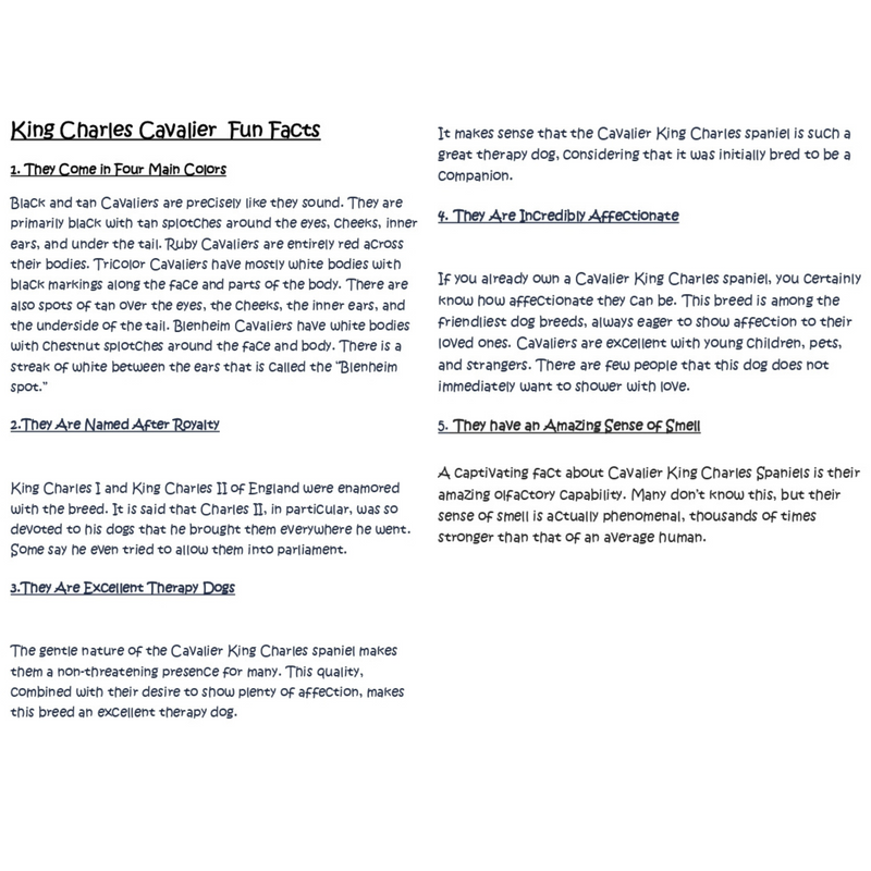 Sleepy Tails - Mother and Baby - King Charles Spaniel